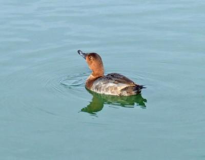 Прикрепленное изображение: bDSCF5956.jpg